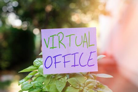 Handwriting text Virtual Office. Conceptual photo operational domain of any business or organization virtually Plain empty paper attached to a stick and placed in the green leafy plantsの写真素材