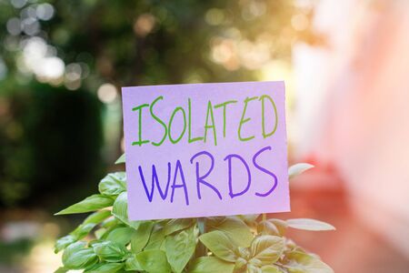Handwriting text Isolated Wards. Conceptual photo Secluded away from places or and having minimal contact Plain empty paper attached to a stick and placed in the green leafy plantsの写真素材