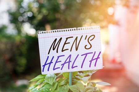 Text sign showing Men S Health. Business photo showcasing men s is state of complete physical, mental, and social wellbeing Plain empty paper attached to a stick and placed in the green leafy plantsの写真素材