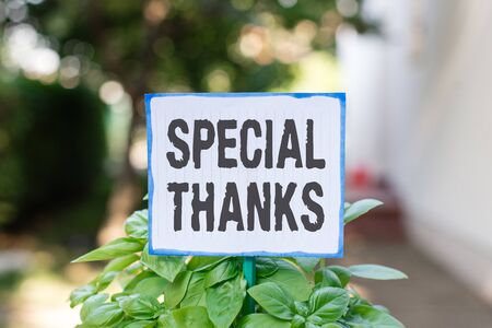 Writing note showing Special Thanks. Business concept for appreciating something or someone in a most unique way Plain paper attached to stick and placed in the grassy landの写真素材