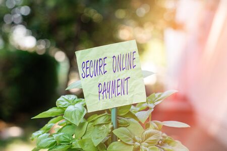 Text sign showing Secure Online Payment. Business photo text safe digital technology electronic transfer of remittance Plain empty paper attached to a stick and placed in the green leafy plantsの写真素材