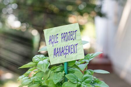 Text sign showing Agile Project Management. Business photo text management methodology from traditional to modern technology Plain empty paper attached to a stick and placed in the green leafy plantsの写真素材