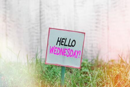 Word writing text Hello Wednesday. Business photo showcasing it is a good day when you reach in the middle of the week Plain empty paper attached to a stick and placed in the green grassy landの写真素材