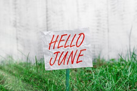 Conceptual hand writing showing Hello June. Concept meaning a new month to plan your activities for fun and adventures Plain paper attached to stick and placed in the grassy landの写真素材