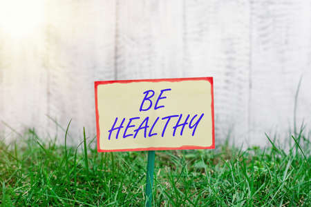 Writing note showing Be Healthy. Business concept for promote a state of complete emotional and physical wellbeing Plain paper attached to stick and placed in the grassy landの写真素材