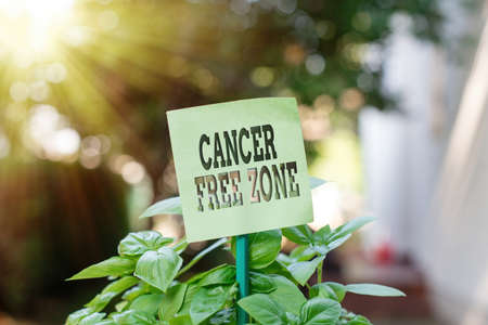 Handwriting text writing Cancer Free Zone. Conceptual photo supporting cancer patients and raising awareness of cancer Plain empty paper attached to a stick and placed in the green leafy plantsの写真素材
