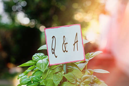 Handwriting text Q And A. Conceptual photo in which an individual asks questions and another one to answers them Plain empty paper attached to a stick and placed in the green leafy plantsの写真素材