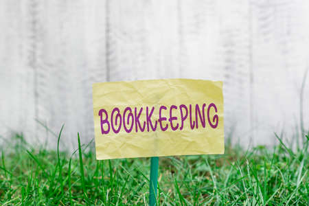 Handwriting text writing Bookkeeping. Conceptual photo keeping records of the financial affairs of a business Plain empty paper attached to a stick and placed in the green grassy landの写真素材