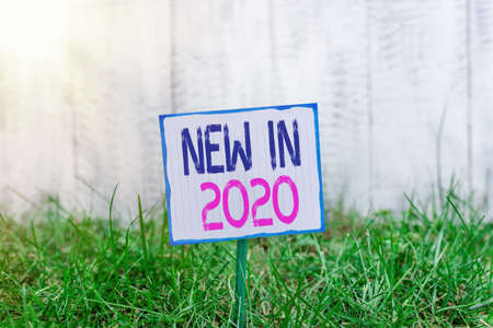 Handwriting text New In 2020. Conceptual photo what will be expecting or new creation for the year 2020 Plain empty paper attached to a stick and placed in the green grassy landの写真素材
