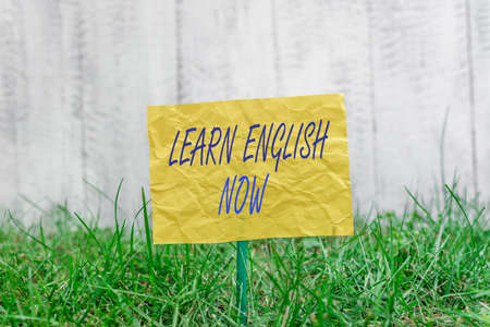 Word writing text Learn English Now. Business photo showcasing gain or acquire knowledge and skill of English language Plain empty paper attached to a stick and placed in the green grassy landの写真素材