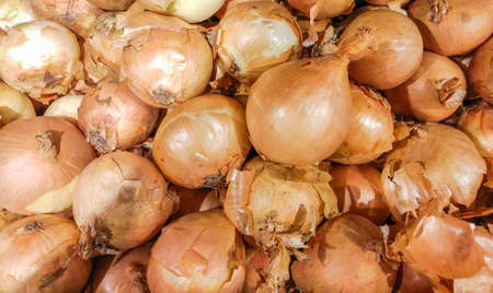 vegetables background, fresh onion on the marketの写真素材