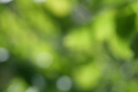 Blurred abstract green nature backgroundの写真素材