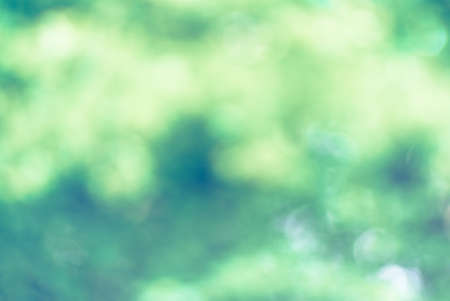 Blurred abstract green nature backgroundの写真素材
