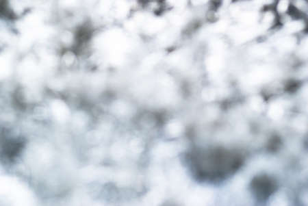 White blur abstract backgroundの写真素材