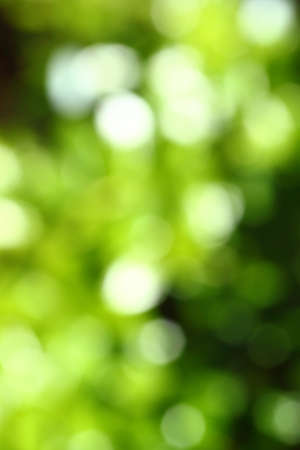 Abstract green blurred green background with bokehの写真素材