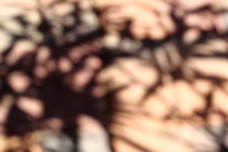 Abstract brown blurred shadow backgroundの写真素材