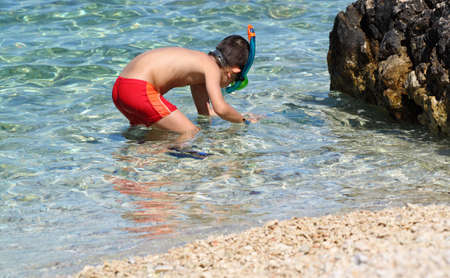Young boy with snorkel hunts crabs and sea star in clear seaの写真素材