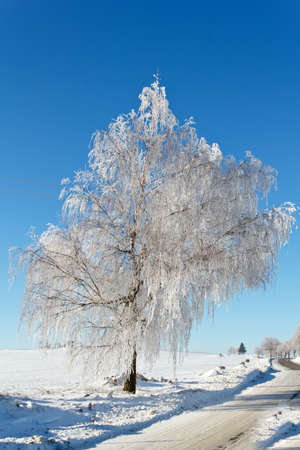 Winter road on a sunny frosty day with blue skyの写真素材
