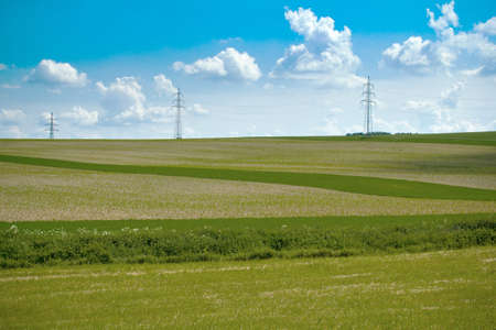 Summer landscape with field and meadow and blue sky