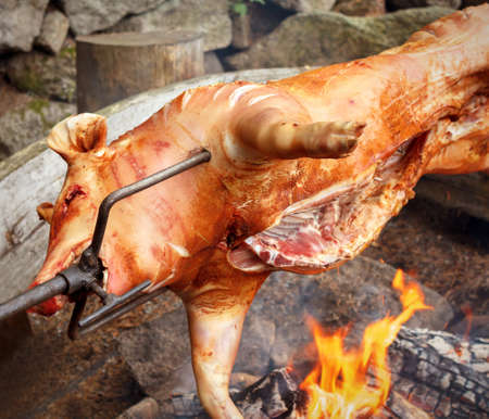 Outdoor roasting Pig on the grill in the open fireの写真素材