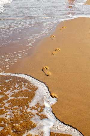 Footsteps on the beach by the sea in summerの素材 [FY31016428071] | ストック ...