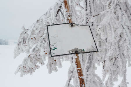 snowy tree with empty sign in winter landscapeの写真素材