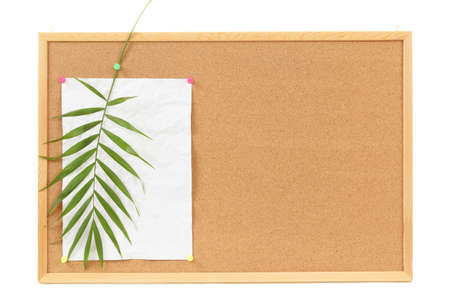 cocrboard with palm leave, crumpled paper for vacation messageの写真素材