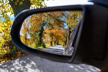 rural road in the autumn with yellow colored trees reflected in car mirrorの写真素材