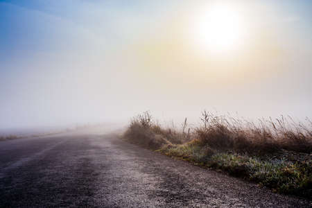mystical rural foggy road going to the sunriseの写真素材