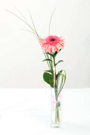 fresh bouquet from ping gerbers on white backgroundの写真素材