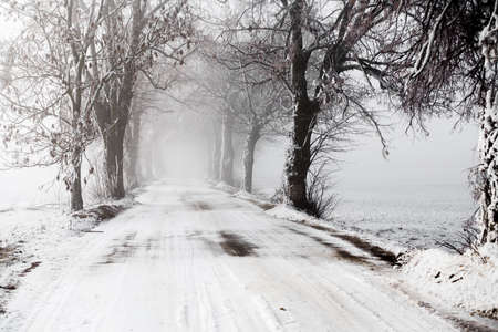 rural winter road going in to the fogの写真素材