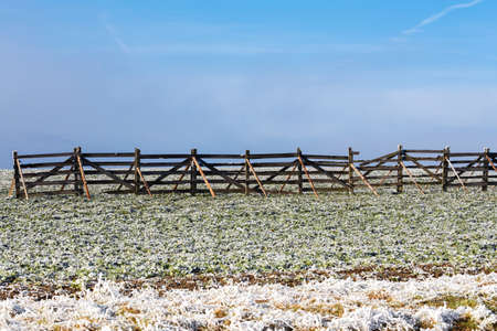 winter with frost grass and snowdrift barrier against blue skyの写真素材