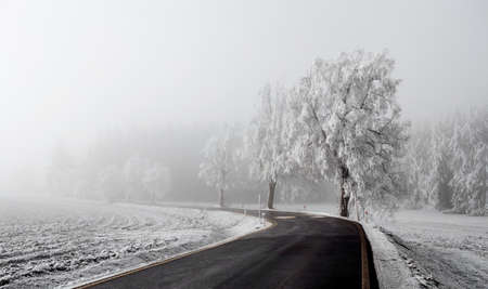 rural winter road going in to the fogの写真素材
