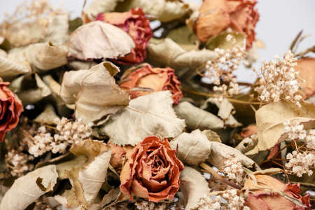 Detail of bouquet of dried roses with leaves.の写真素材