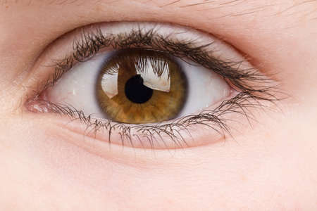 Beautiful young teenager health brown eye macroの写真素材