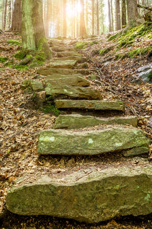 Stone staircase leading up a walkway through the Doubrava valley, Czech Republic with sun light at upの写真素材