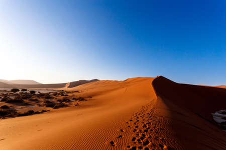 Landscape of dunes in sossusvlei with wind shapes the sand dunes, Namibia, sunrise sceneの写真素材