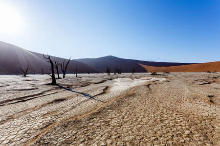 Sossusvlei beautiful sunrise landscape of hidden death valley in Namibian desert with blue sky, best place in Namibiaの写真素材