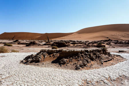 Sossusvlei beautiful sunrise landscape of hidden death valley in Namibian desert with blue sky, best place in Namibiaの写真素材