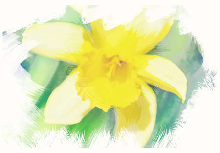spring daffodils in garden, vintage retro watercolor effectの写真素材