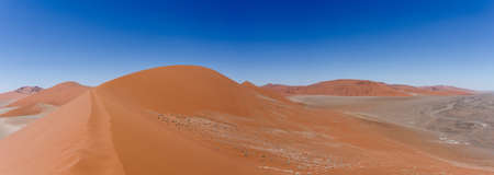 wide panorama of Dune 45 in sossusvlei Namibia, view from the top of a dune, best place in namibiaの写真素材