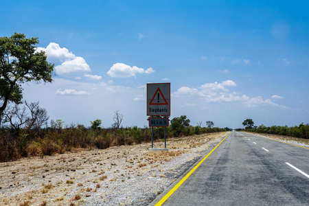 Endless road with blue sky and sign elephants crossing in Namibia, Caprivi Game Park, with blue skyの写真素材