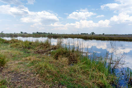 African landscape in national park nambwa on Caprivi Strip Namibiaの写真素材