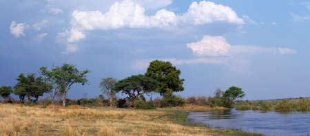 wide panorama of african landscape in national park nambwa on Caprivi Strip Namibiaの写真素材