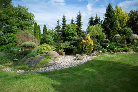 Beautiful spring garden design, with conifer trees, green grass and pond