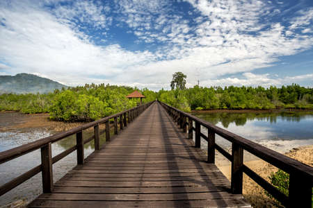 Traditional Indonesian landscape with mangrove and walkway, Sulawesi, Manado, indonesiaの写真素材