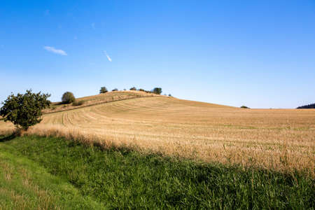 rural summer landscape in czech Republic - region Vysocinaの写真素材