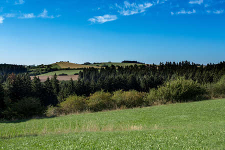 rural summer landscape in czech Republic - region Vysocinaの写真素材