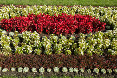 famous flower design in garden, colorand ornament  arangementの写真素材