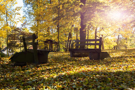 wooden bench in the park on fallen leaves backgroundの写真素材